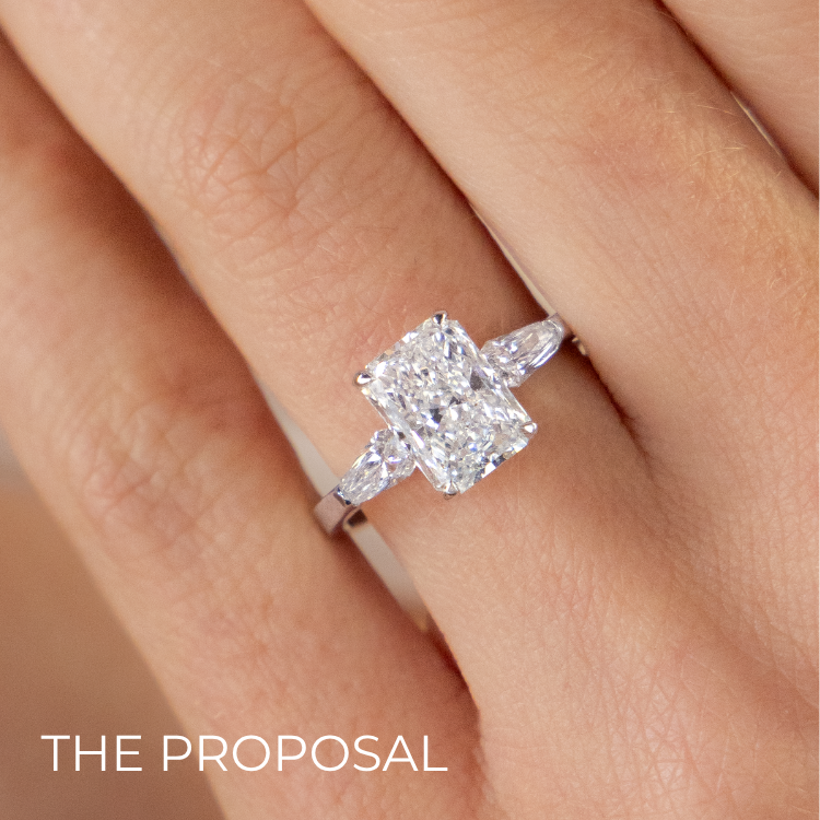 The Proposal Collection