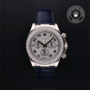 Oyster Perpetual Cosmograph Daytona