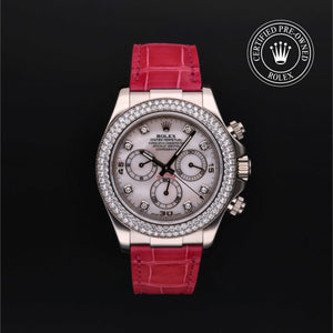 Oyster Perpetual Cosmograph Daytona