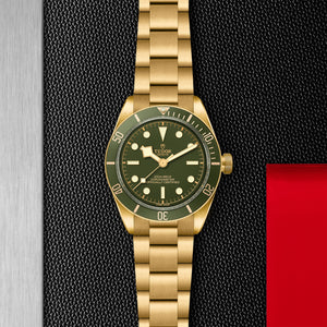 BLACK BAY 58 GMT