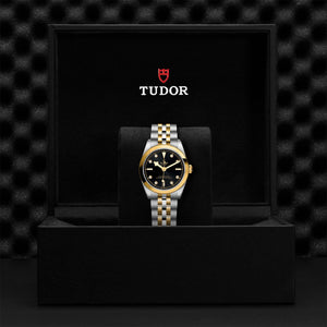 Black Bay 31 S&G - Watches TUDOR