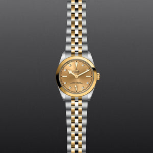 Black Bay 31 S&G - Watches TUDOR