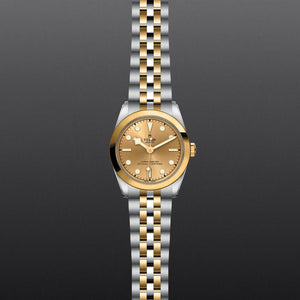 Black Bay 31 S&G - Watches TUDOR