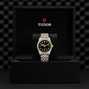 Black Bay 36 S&G - Watches TUDOR