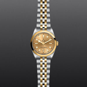 Black Bay 36 S&G - Watches TUDOR