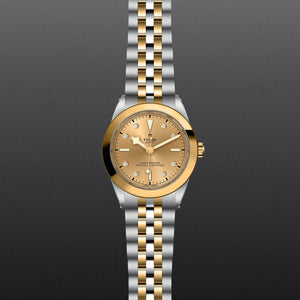 TUDOR Black Bay 39 S&G - Watches TUDOR