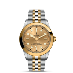 TUDOR Black Bay 39 S&G - Watches TUDOR