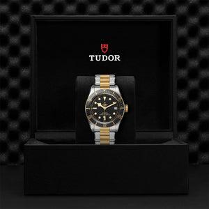 Black Bay S&G - Watches TUDOR