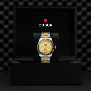 Black Bay S&G - Watches TUDOR