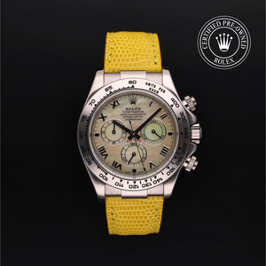 Oyster Perpetual Cosmograph Daytona