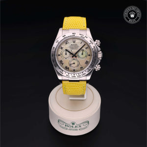 Oyster Perpetual Cosmograph Daytona