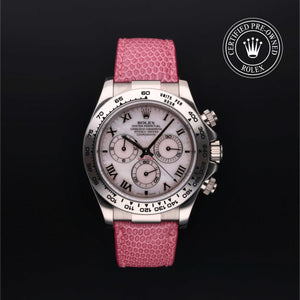 Rolex Cosmograph Daytona 116519 - view 1