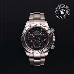 Oyster Perpetual Cosmograph Daytona