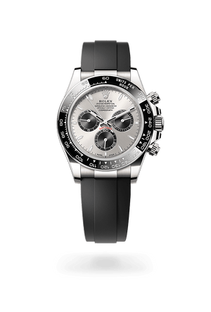 Rolex Cosmograph Daytona in White Gold and Steel and bright black Dial, M126519ln-0006 | Polacheck's Jewelers