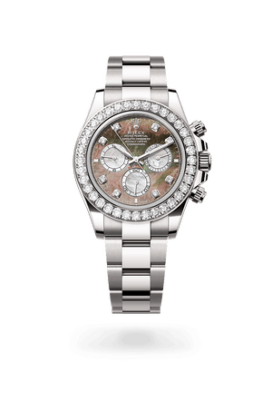Rolex Cosmograph Daytona in White Gold and Black and white mother-of-Pearl set with Diamonds Dial, M126579rbr-0001| Polacheck's Jewelers