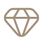 Authorized Luxury Retailer