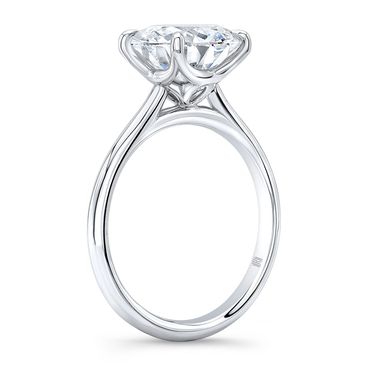 Best Diamond Engagement Rings | Polacheck’s Jewelers