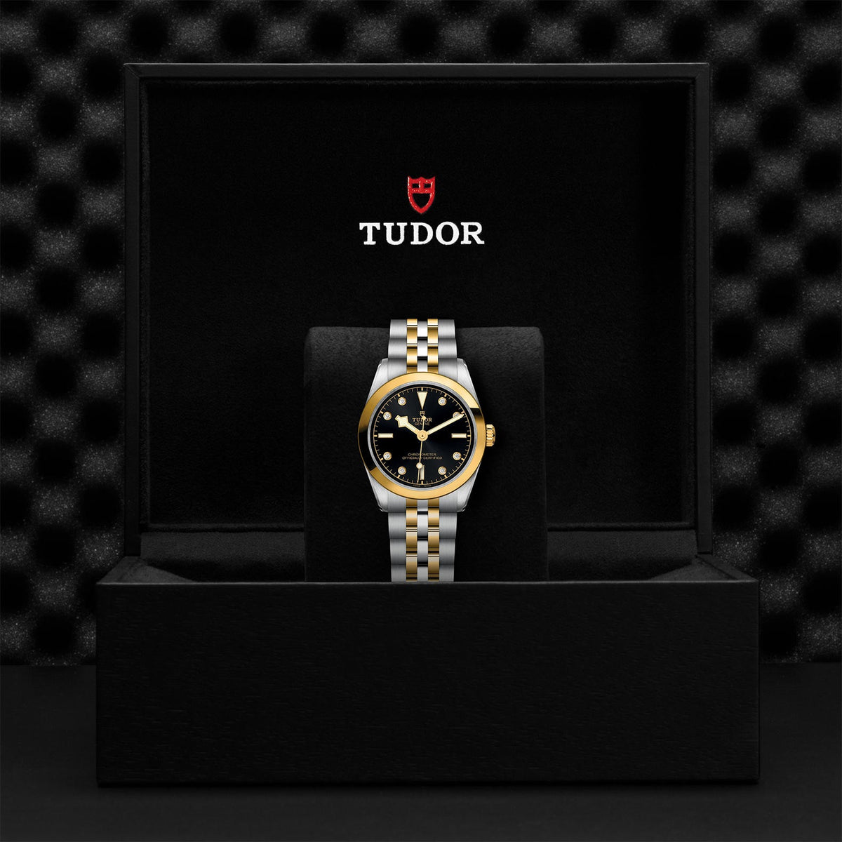 Black Bay 31 S&G - Watches TUDOR