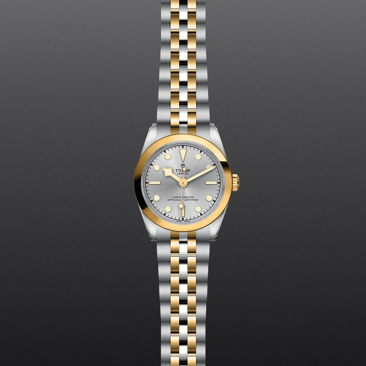 Black Bay 31 S&G - Watches TUDOR