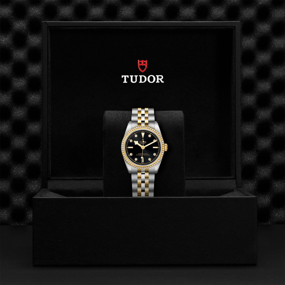 Black Bay 31 S&G - Watches TUDOR