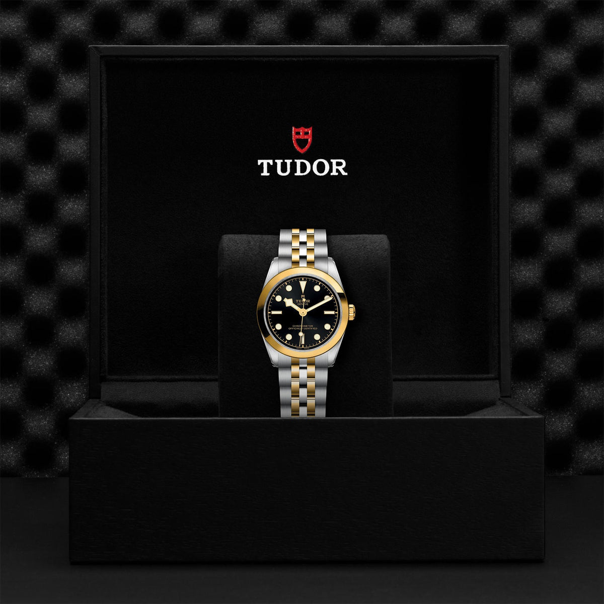 Black Bay 31 S&G - Watches TUDOR