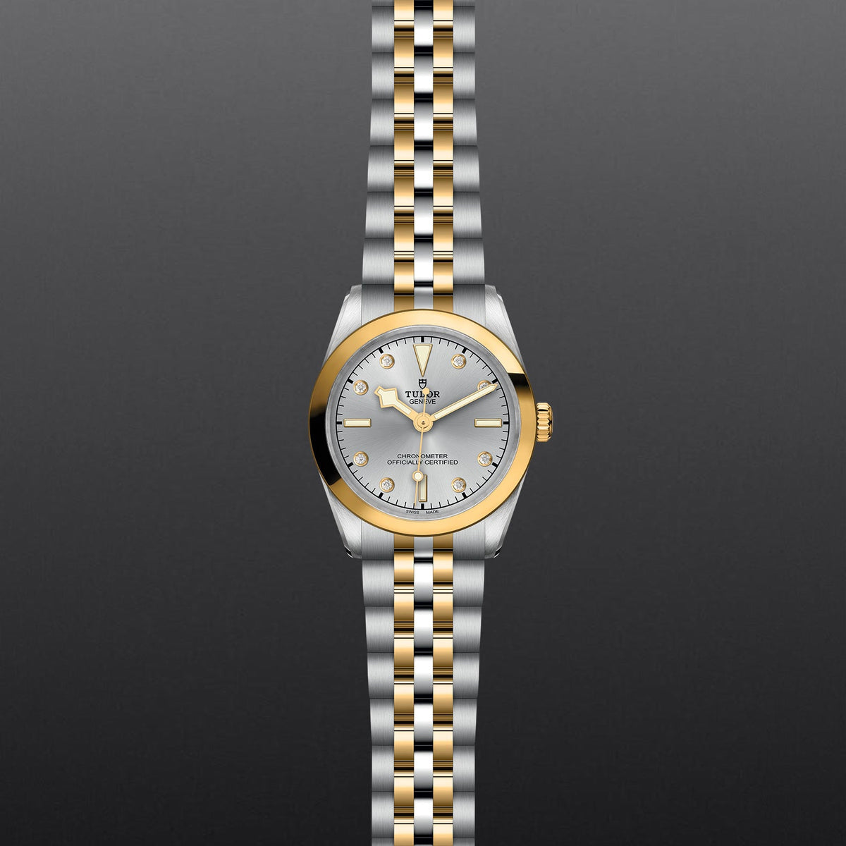 Black Bay 31 S&G - Watches TUDOR