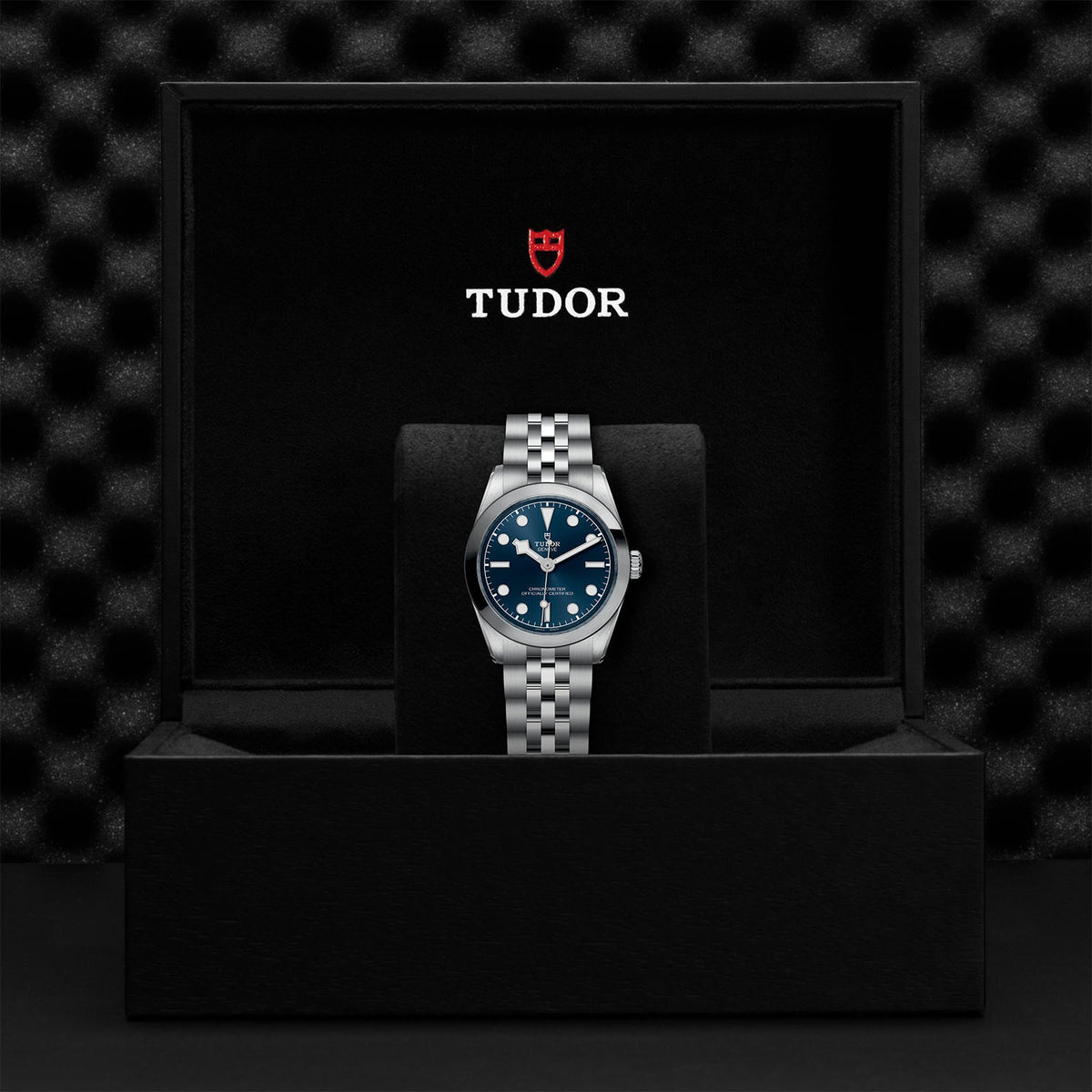 TUDOR Black Bay 31 M79600-0002 – Blue Dial Stainless Steel