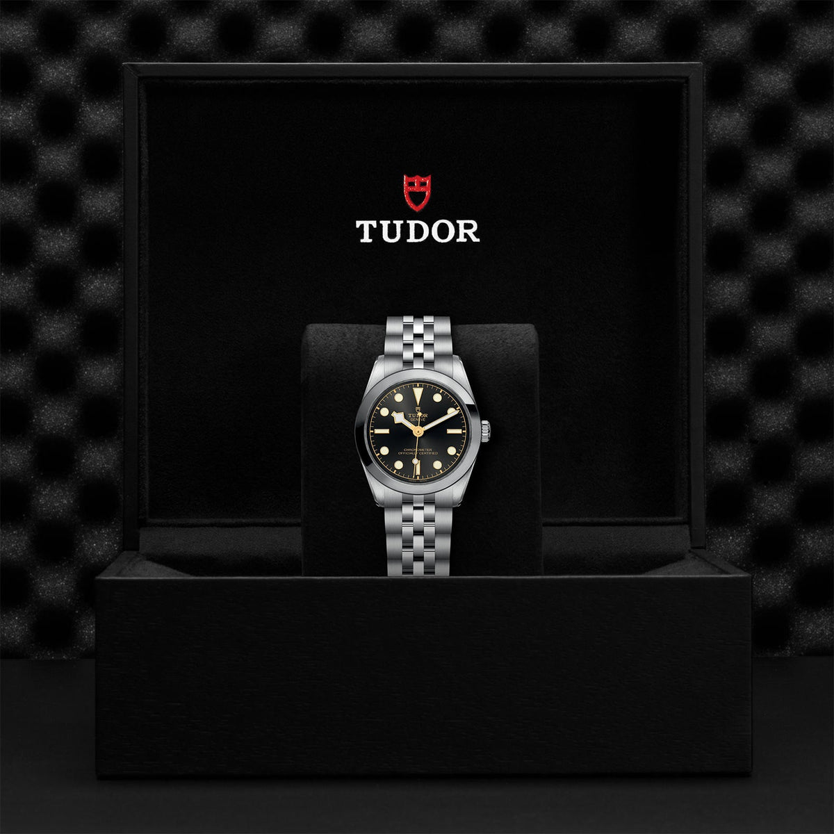 Black Bay 31 - Watches TUDOR