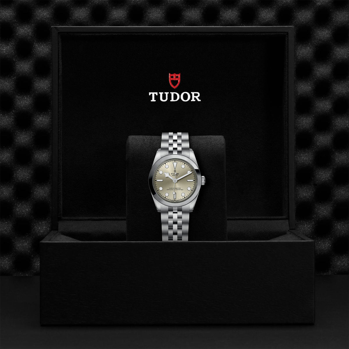 Black Bay 31 - Watches TUDOR