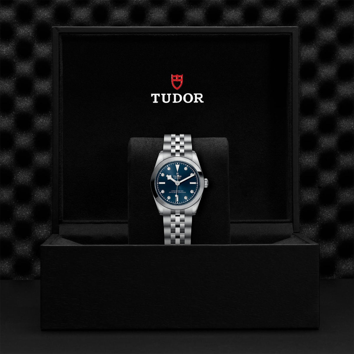 Black Bay 31 - Watches TUDOR