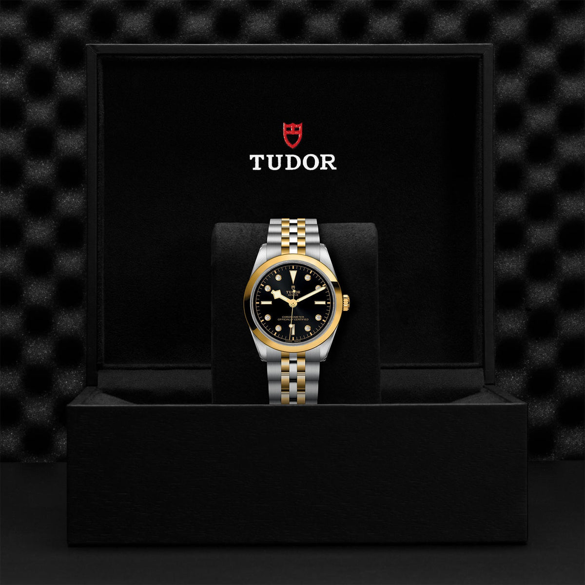 Black Bay 36 S&G - Watches TUDOR