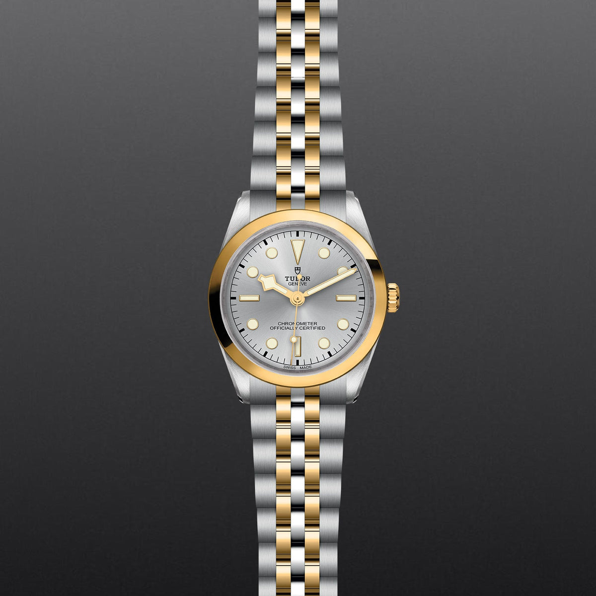 Black Bay 36 S&G - Watches TUDOR