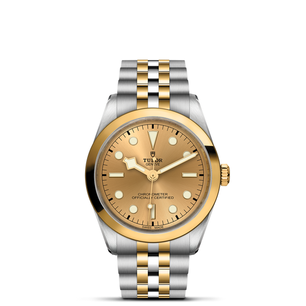 Black Bay 36 S&G - Watches TUDOR