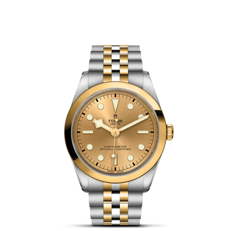 Black Bay 36 S&G - Watches TUDOR