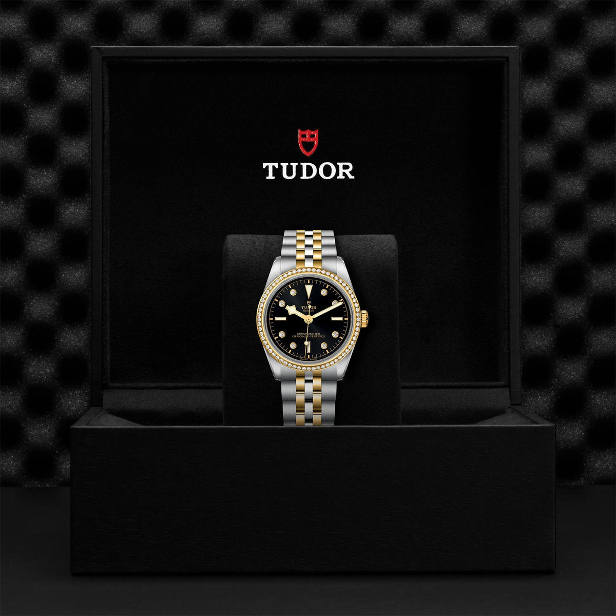 Black Bay 36 S&G - Watches TUDOR