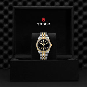 TUDOR Black Bay 36 S&G - Watches TUDOR