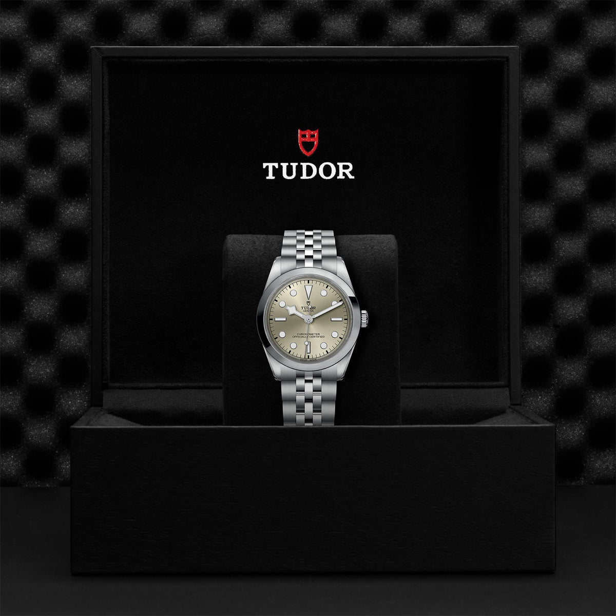 Black Bay 36 - Watches TUDOR