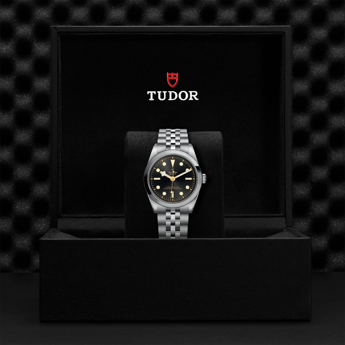 Black Bay 36 - Watches TUDOR