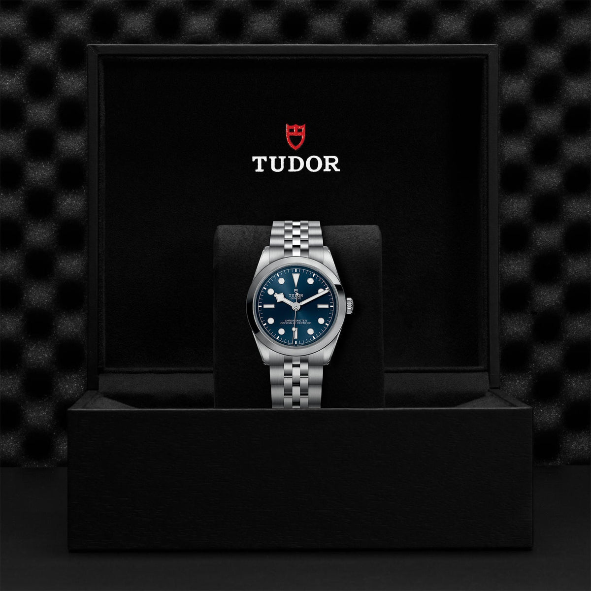 Black Bay 36 - Watches TUDOR