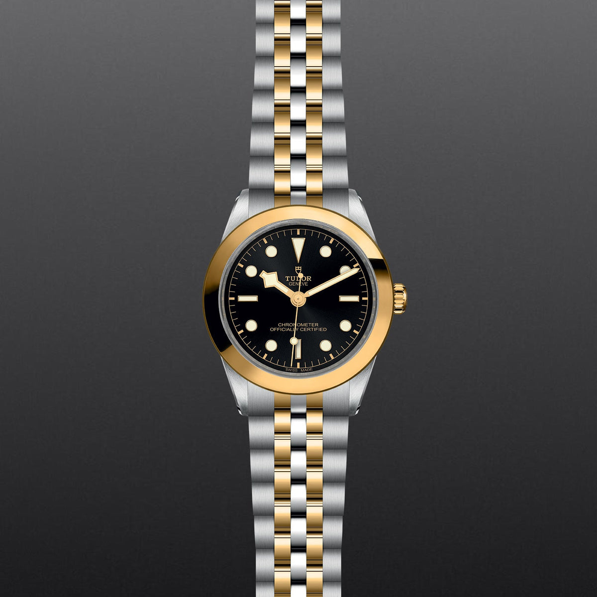 TUDOR Black Bay 39 S&G - Watches TUDOR