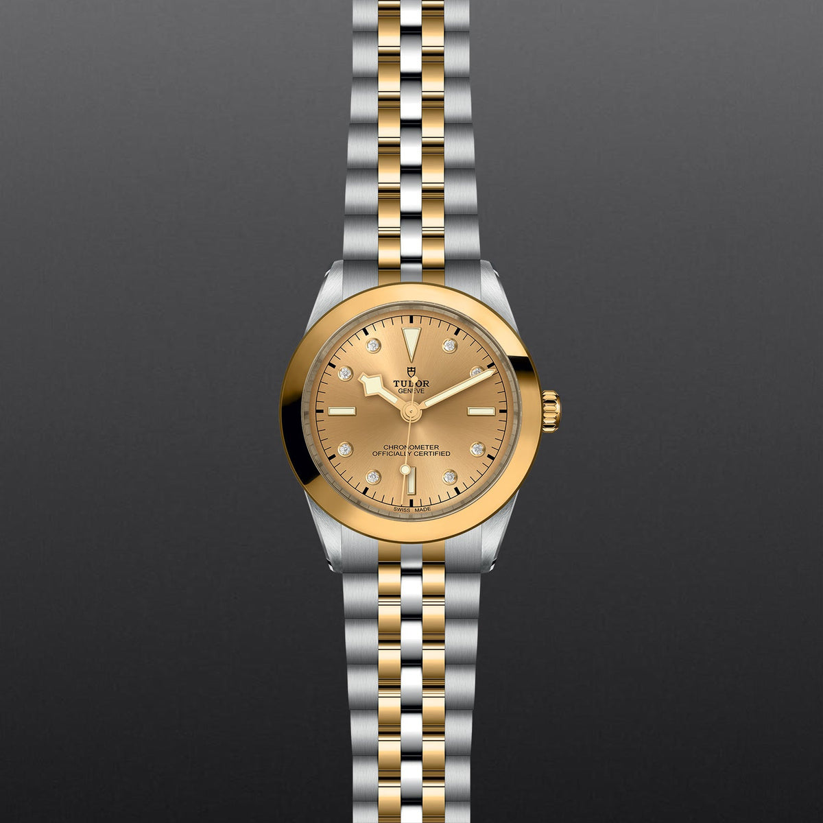 TUDOR Black Bay 39 S&G - Watches TUDOR