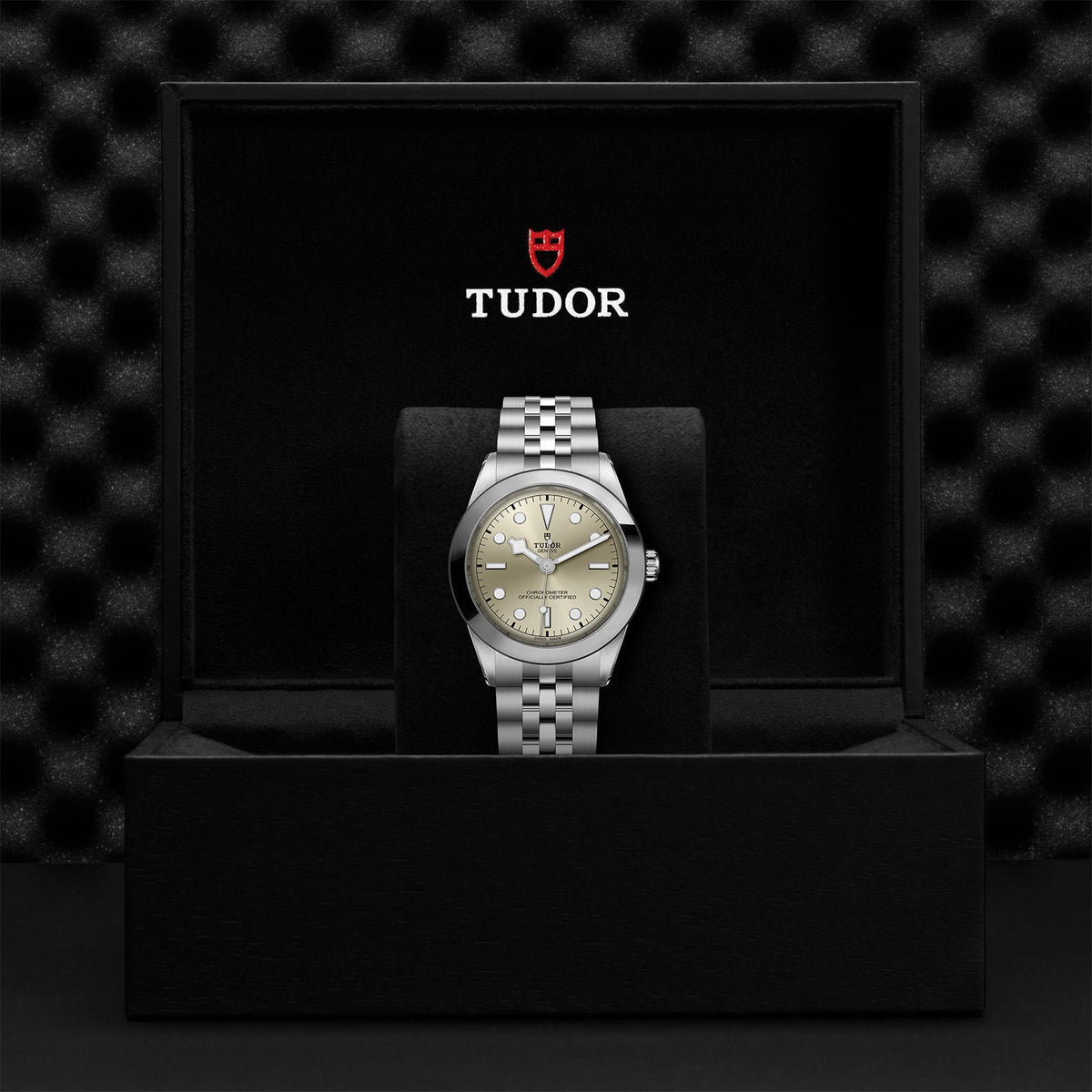 Black Bay 39 - Watches TUDOR