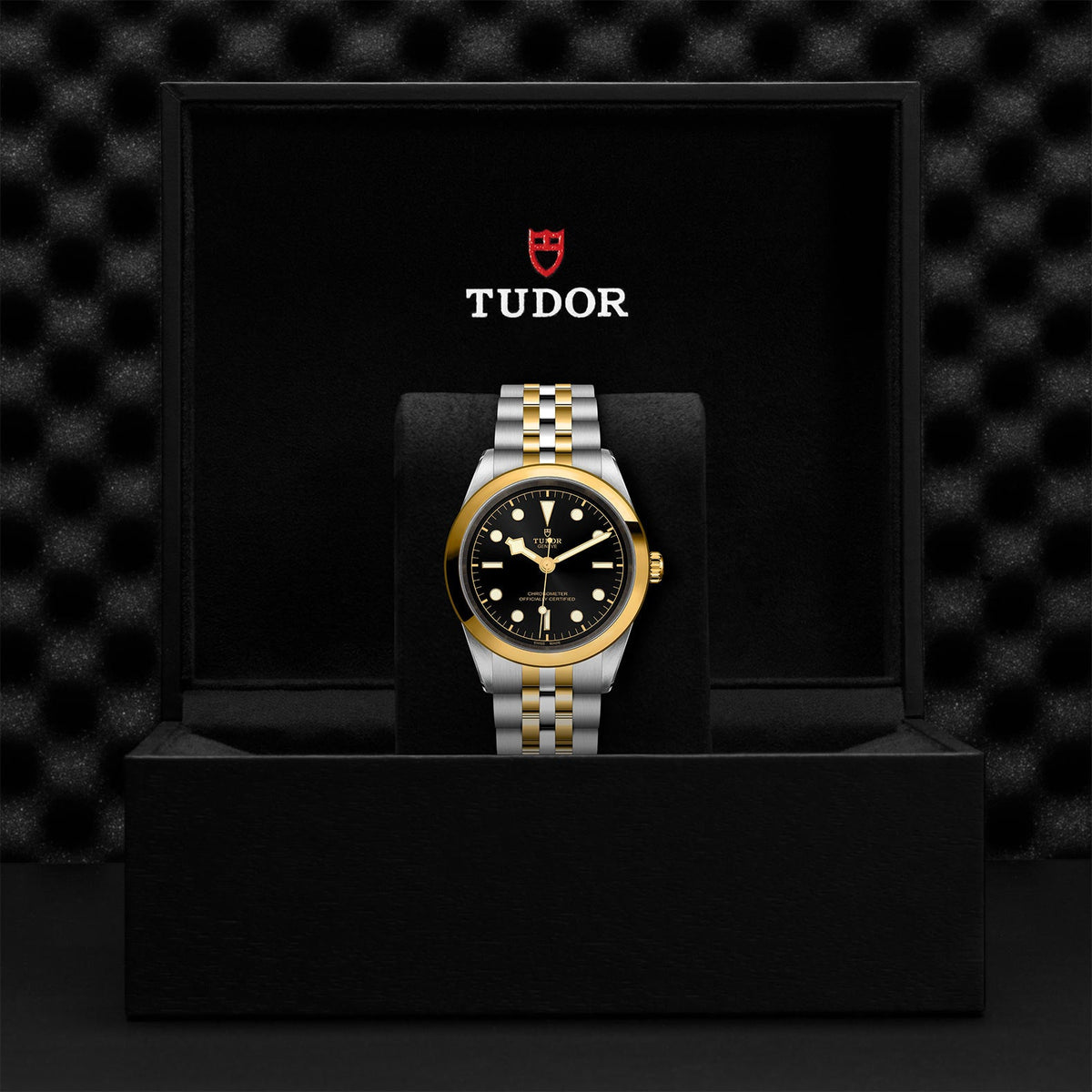 Black Bay 41 S&G - Watches TUDOR
