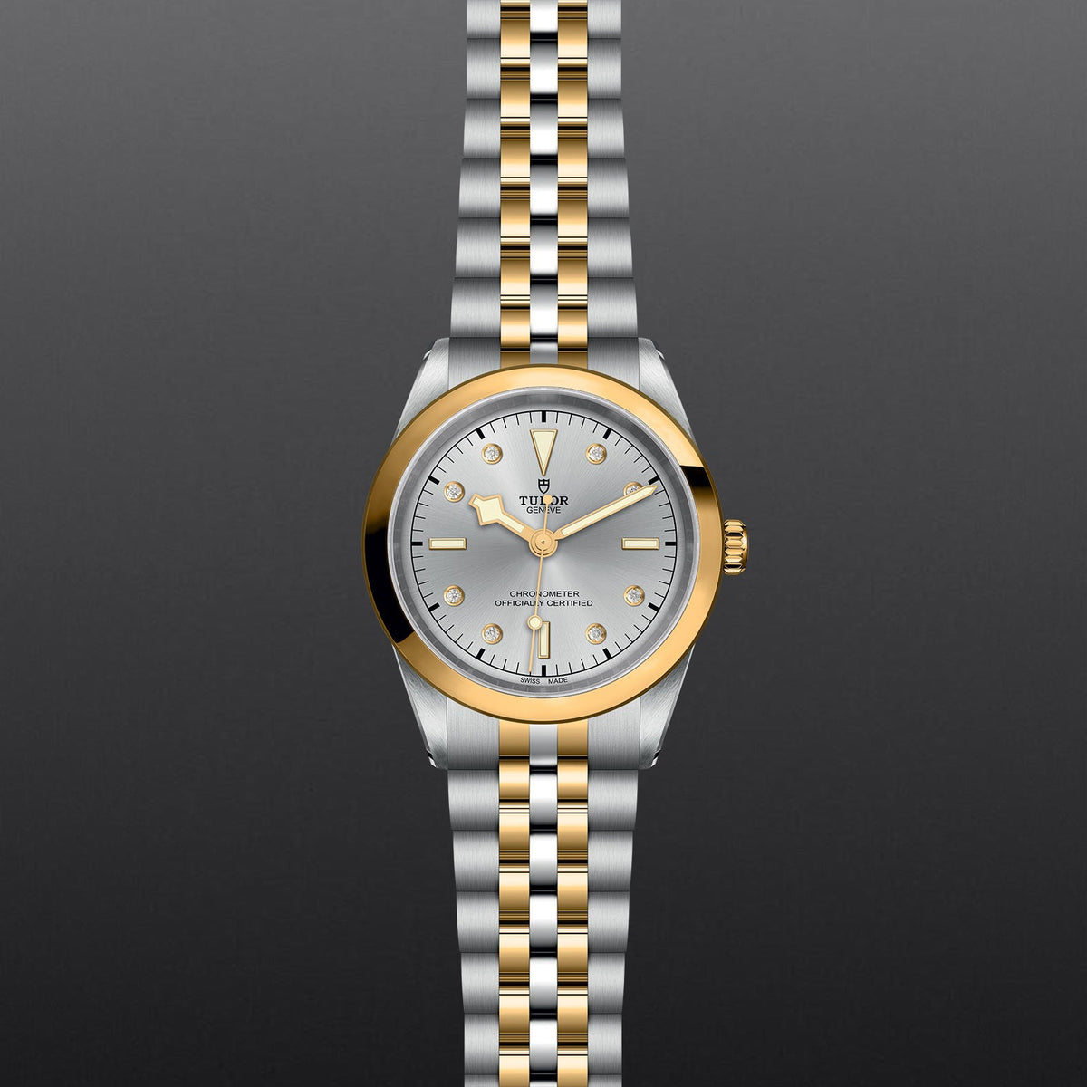 TUDOR Black Bay 41 S&G - Watches TUDOR