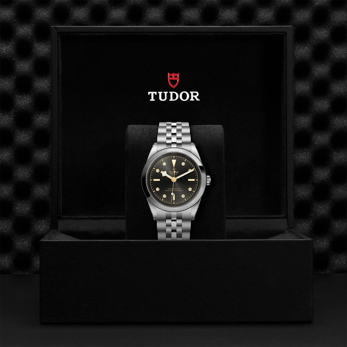 Black Bay 41 - Watches TUDOR