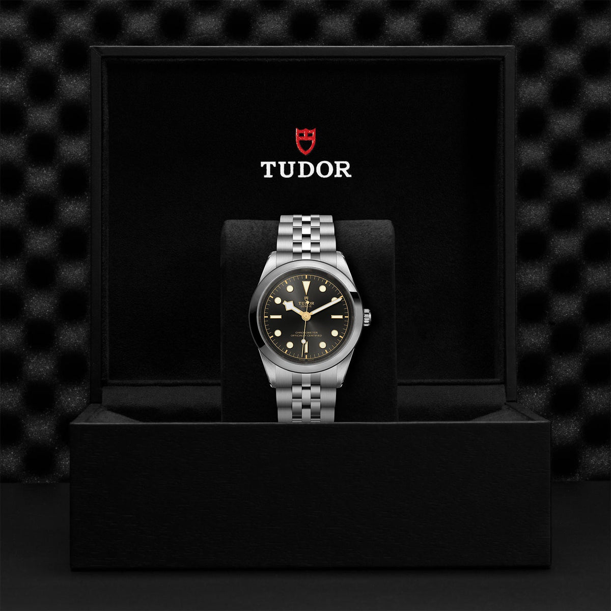 TUDOR Black Bay 41 M79680-0001 – 41mm Steel Bracelet Watch