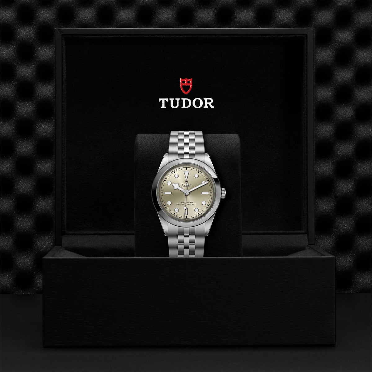 Black Bay 41 - Watches TUDOR