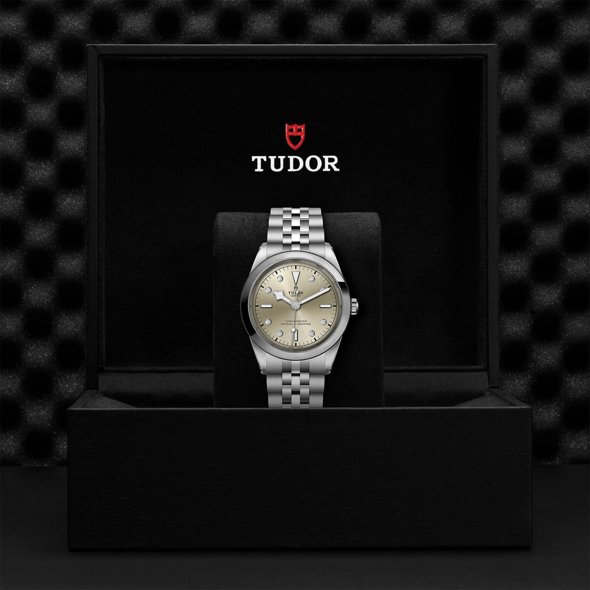 TUDOR Black Bay 41 M79680-0006 – Diamond Champagne Dial