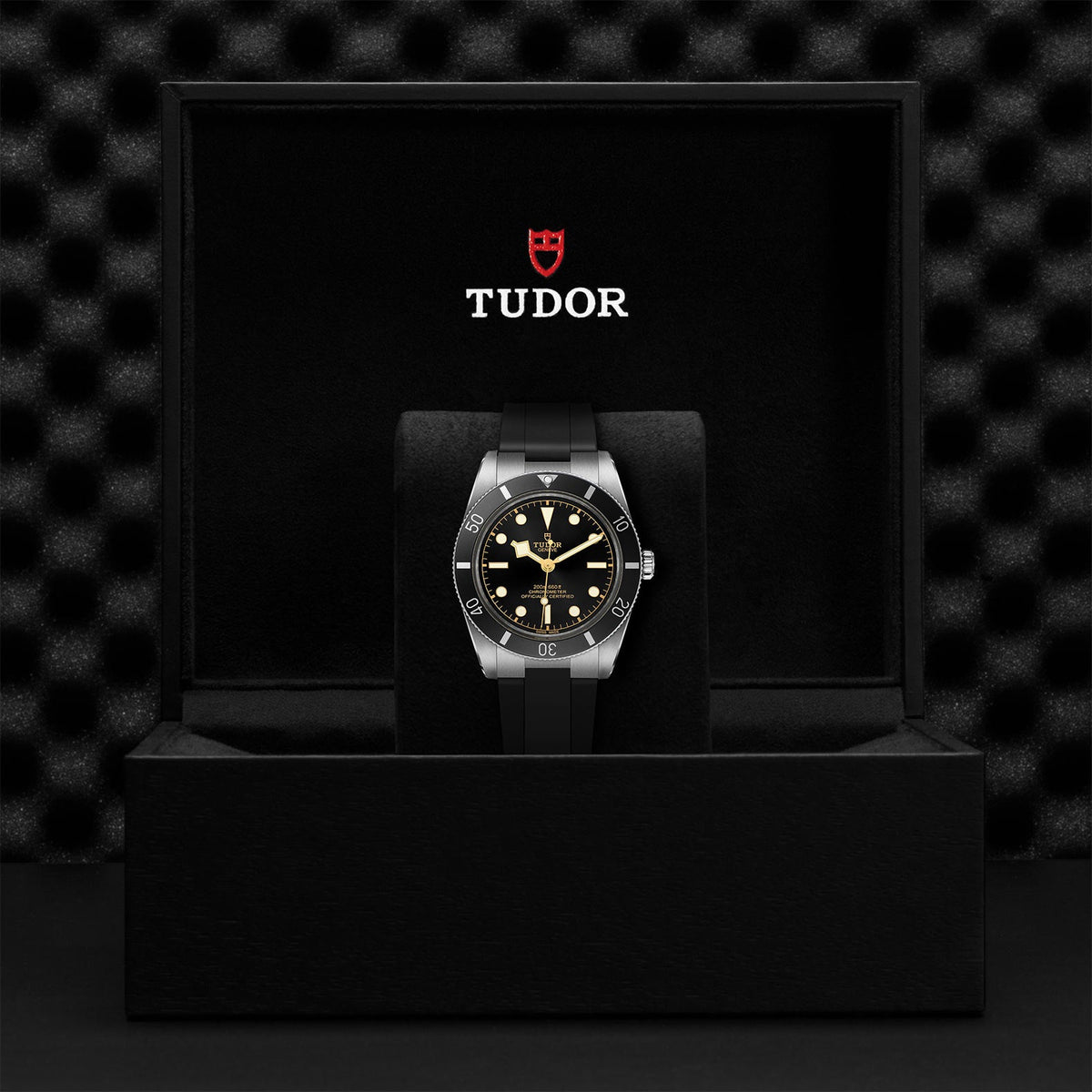 Black Bay 54 - Watches TUDOR