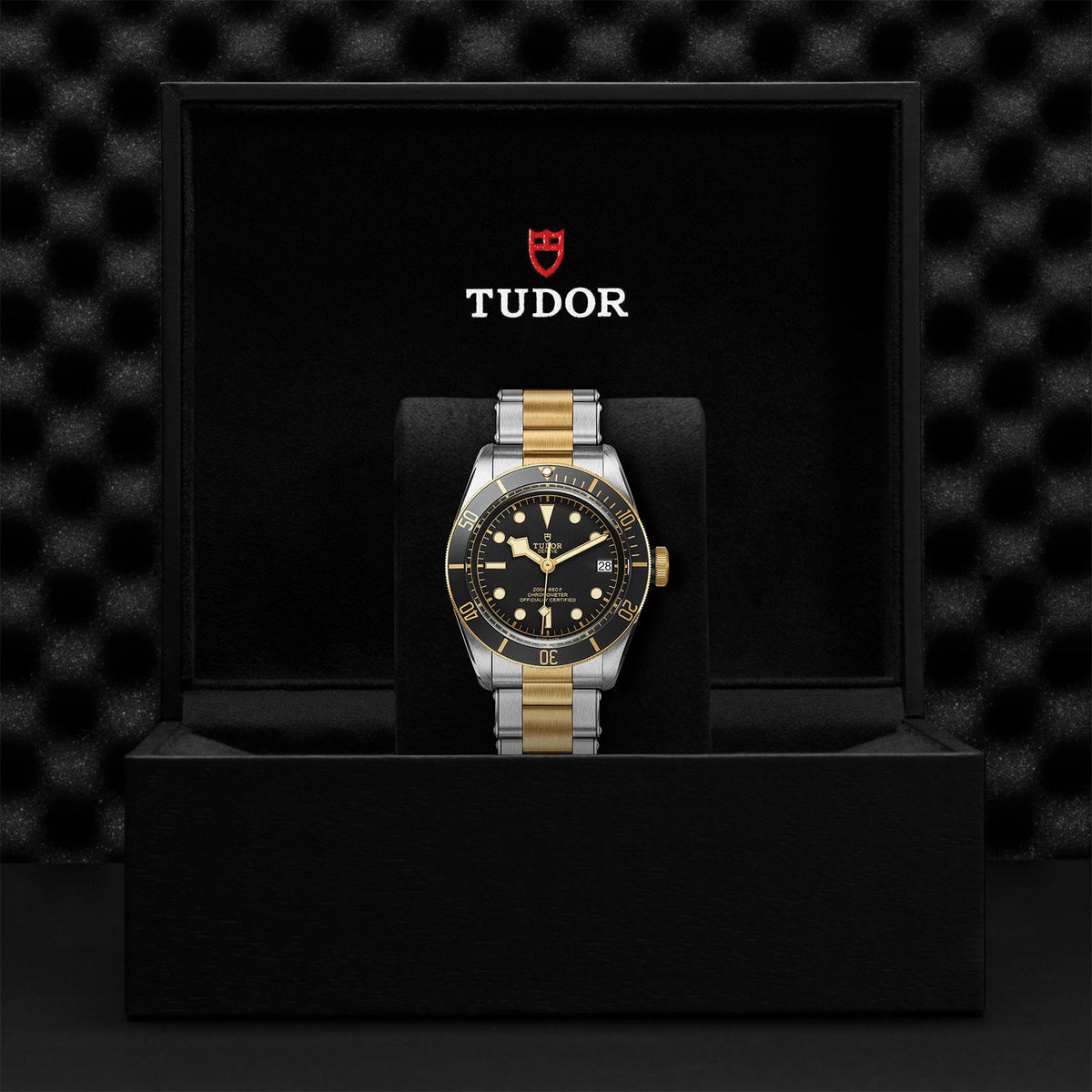 Black Bay S&G - Watches TUDOR